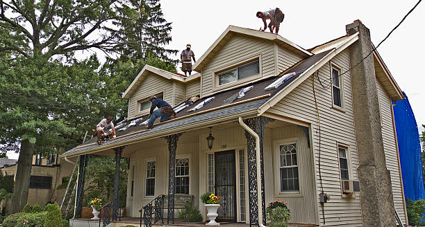 Best New Roof Installation  in Lyons, WI