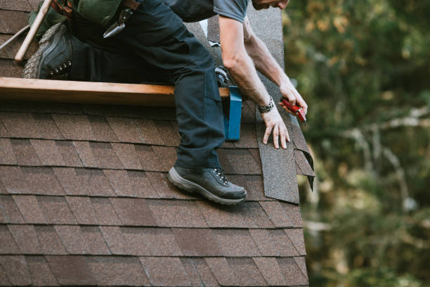 Best Roof Gutter Cleaning  in Lyons, WI