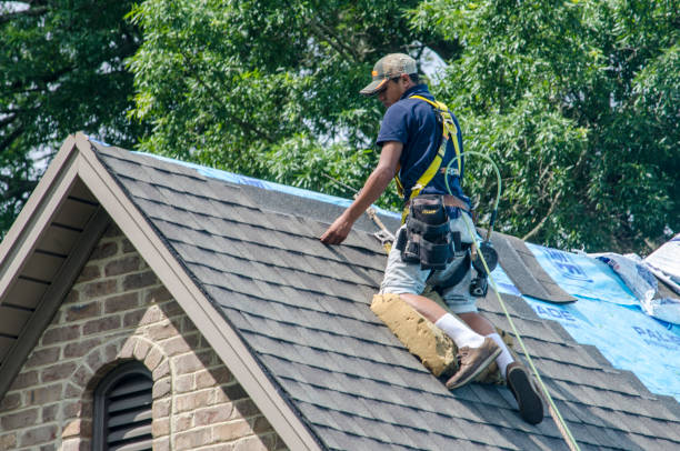 Best Roof Repair Services  in Lyons, WI